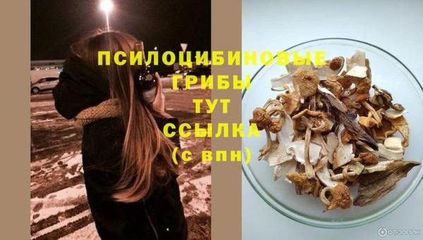 МДПВ Абаза