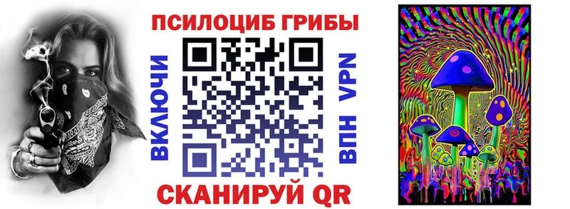 Галлюциногенные грибы Psilocybe  МЕГА ссылки  Вышний Волочёк 